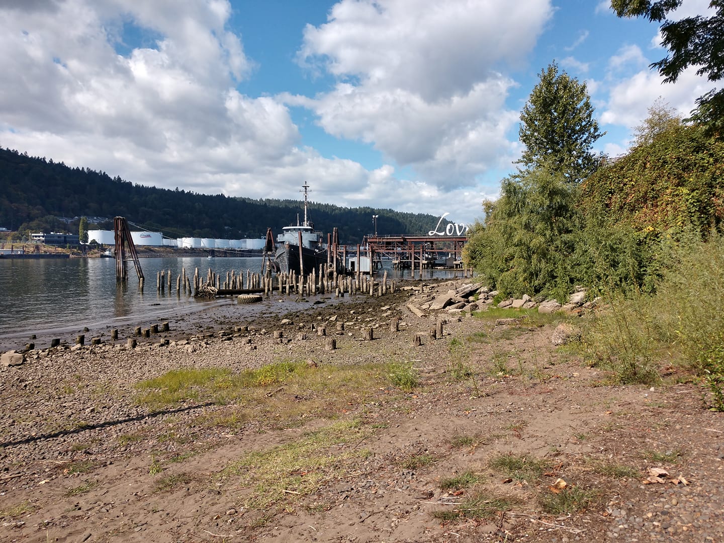 River Cleanup, Cathedral Park